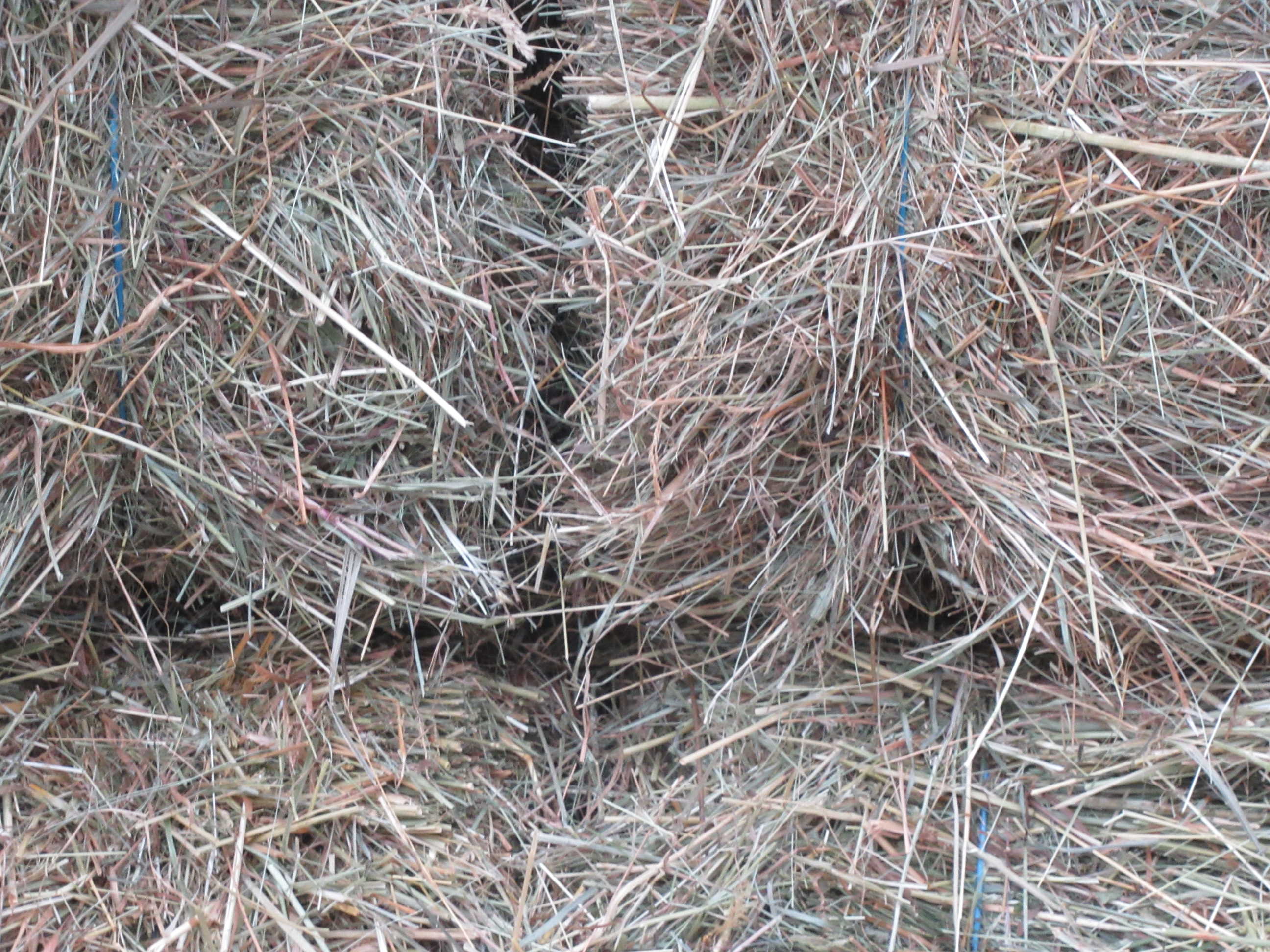 HEU vom G�u - Bondorf