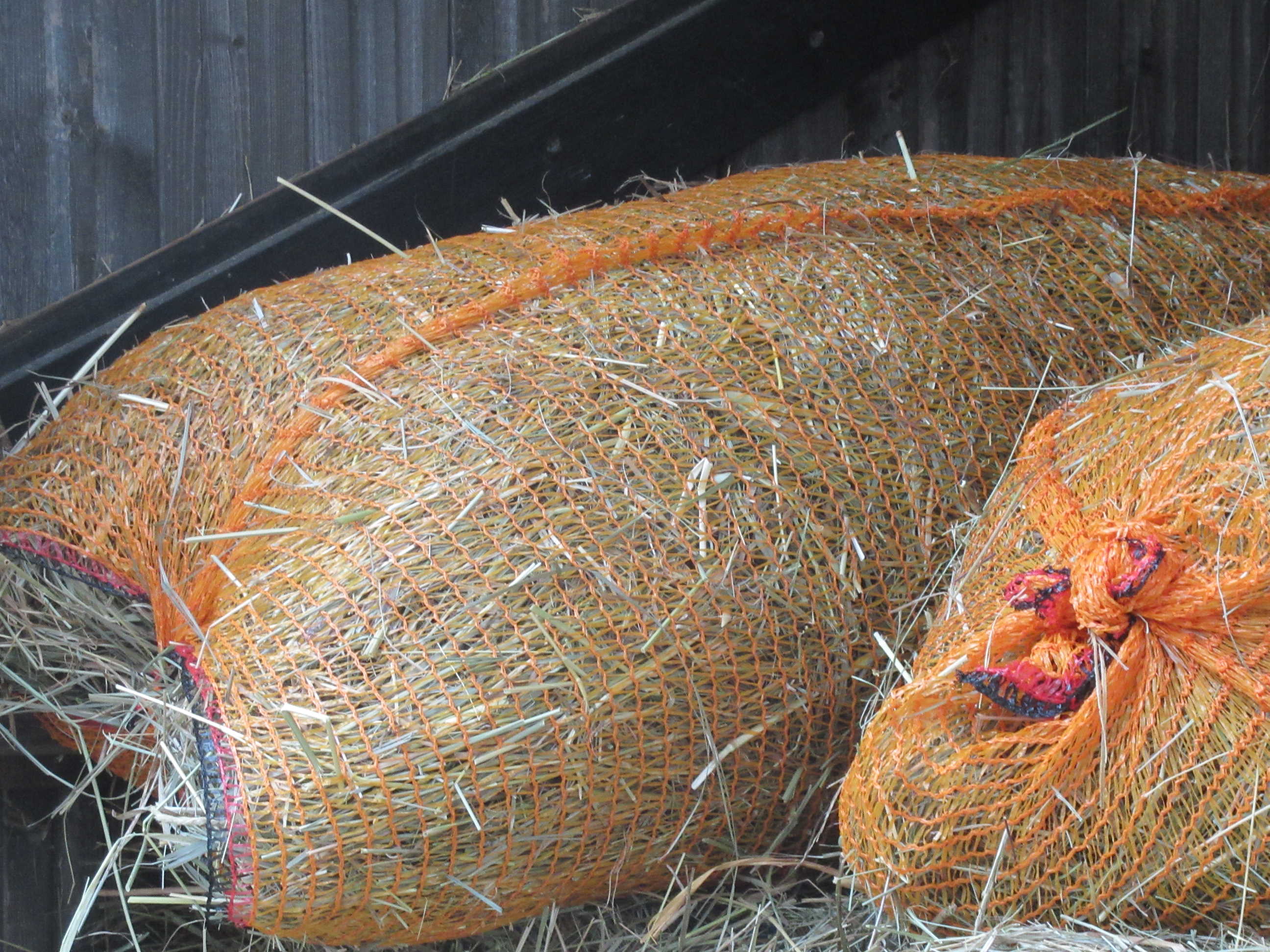 HEU vom G�u - Bondorf