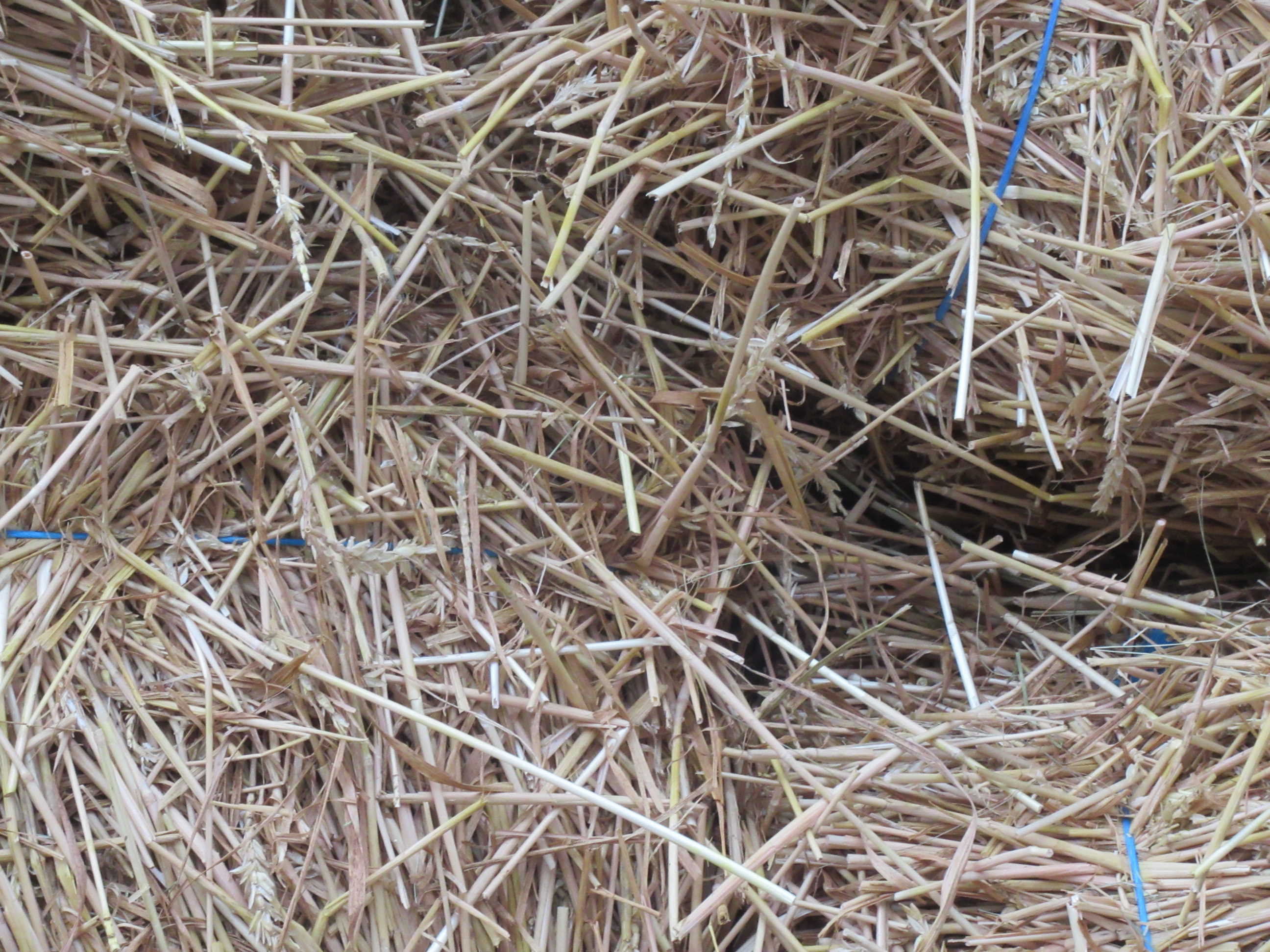 HEU vom G�u - Bondorf